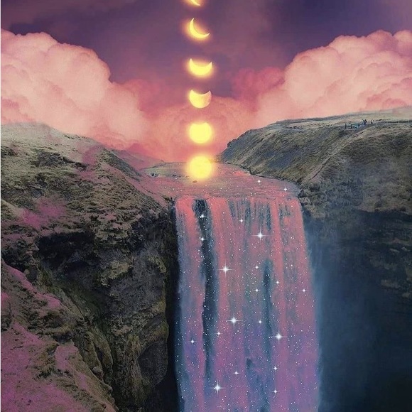 Meet your Posher, Abby - Picture 10 of 12